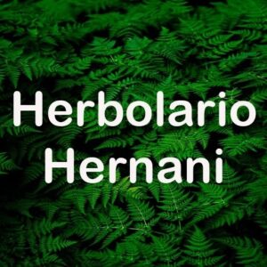 hernanilogo 300x300