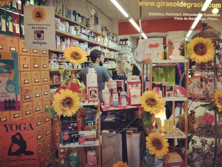 girasol1 768x576