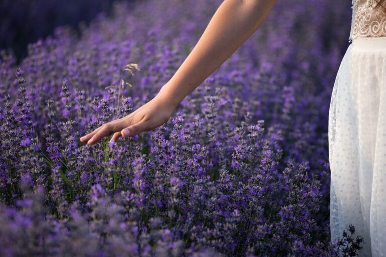 horta1 768x512
