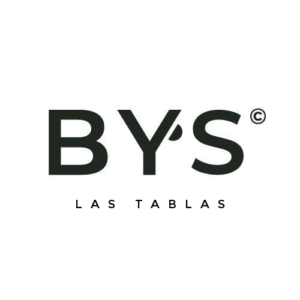 byslogo 300x300