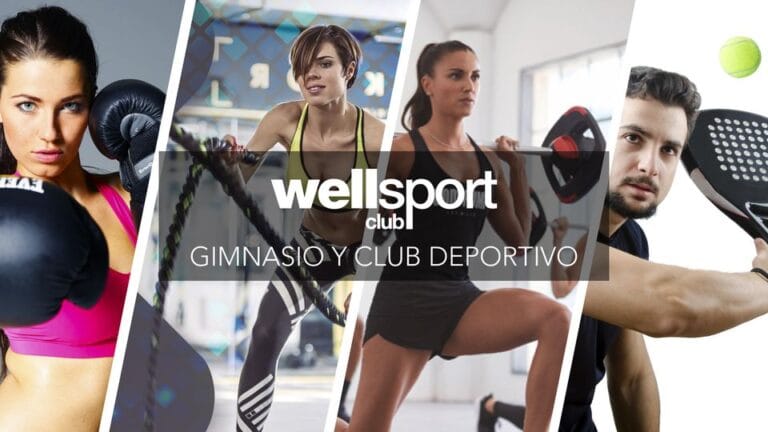 wellsport1 768x432