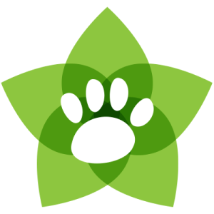 drmattholisticlogo 300x300