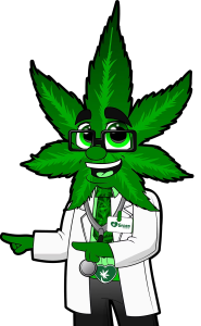 greensource 185x300