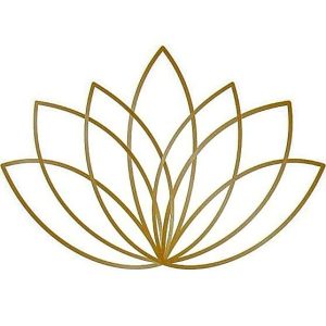 HolisticSerenitylogo 300x300