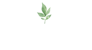 TeytelbaumMDLogo 300x162