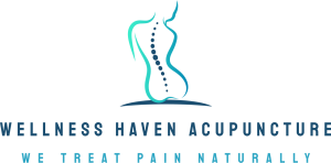 Wellness Haven Acupuncturelogo 300x148