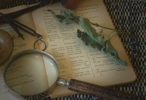 naturopatía